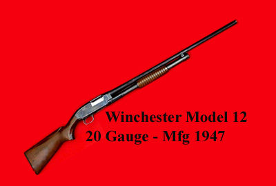 Winchester Model 12 20 GA